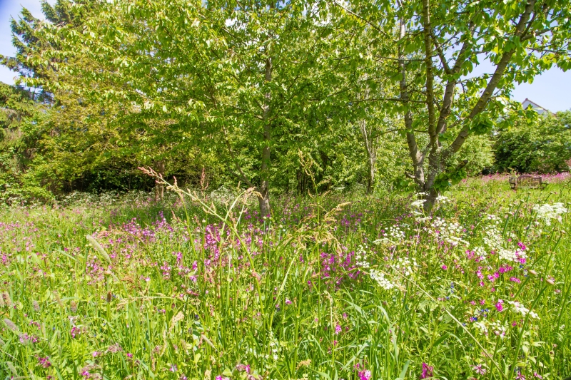 Sutton Bonington Gardens